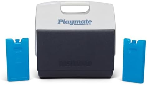 Igloo Maxcold Ice Block