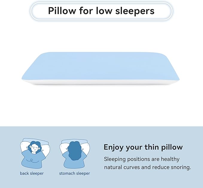 AM AEROMAX 2.75 Inches Queen Size Hyper Slim Memory Foam Pillow for Stomach and Back Sleepers - Thin, Flat Design for Cervical Neck Alignment and Deeper Sleep.