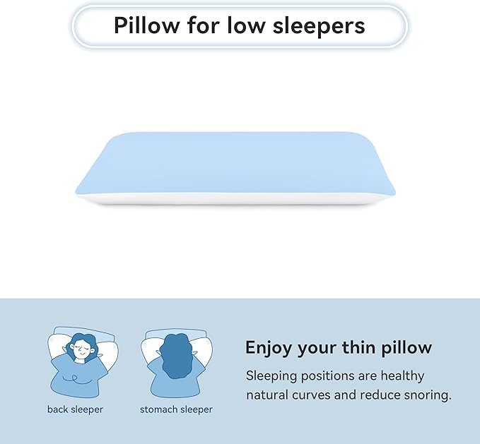 AM AEROMAX 2.75 Inches Standard Size Hyper Slim Memory Foam Pillow for Stomach and Back Sleepers - Thin, Flat Design for Cervical Neck Alignment and Deeper Sleep.