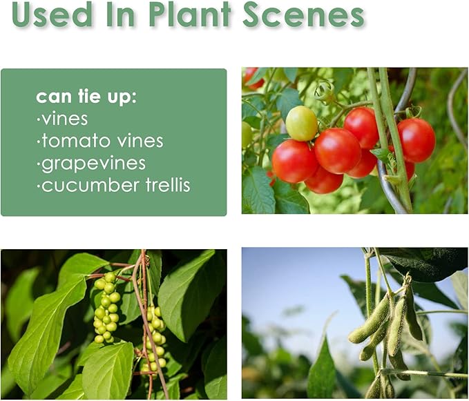 Garden Tie Green Strap Plant Supports Gentle on Plants Pre-Cut Design Tearable Reusable Sturdy Multi-Purpose for Home Garden Balcony Office (32.8ft × 0.6 inch, Green)