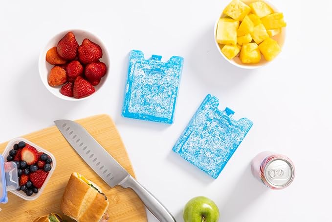 Igloo Maxcold Ice Block