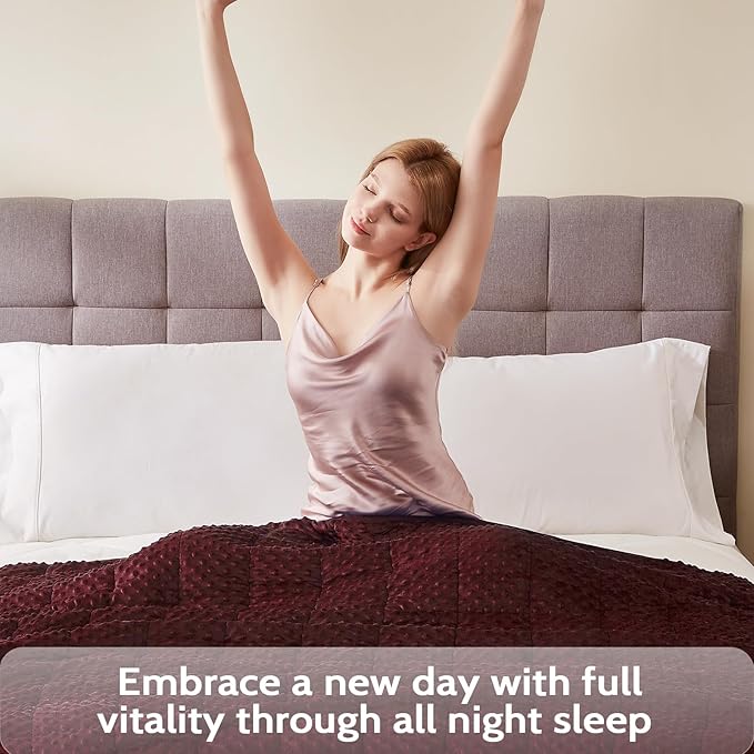 L'AGRATY Weighted Blanket - 40"x60" 10lbs Minky Dots Heavy Blanket with Glass Beads Soft Breathable for All-Season Summer Fall Winter Thick Comfort for Sleeping