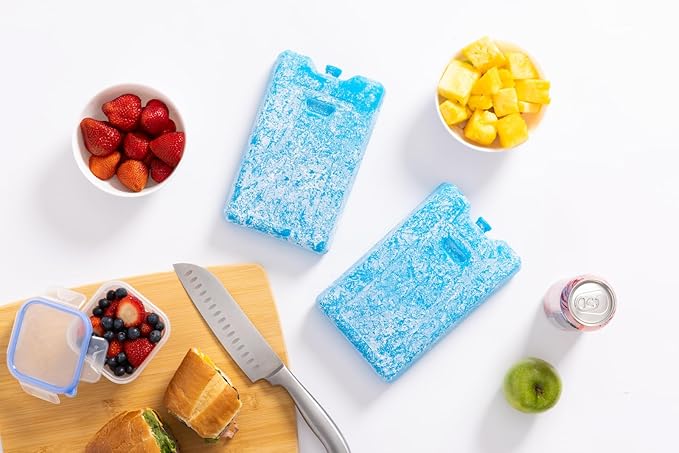 Igloo Maxcold Ice Block