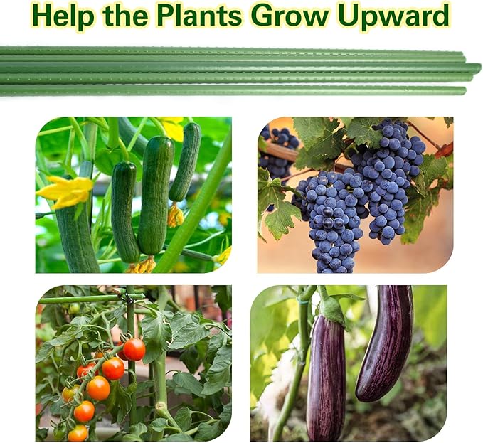 Plant Stakes 6ft, Steel Garden Stakes 6 Feet 25 Pack, Sturdy Plant Support for Climbing Plants, Tomatoes, Beans, Cucumbers, Peppers, Flowers, Potted, Strengthen and Stem to Grow Better