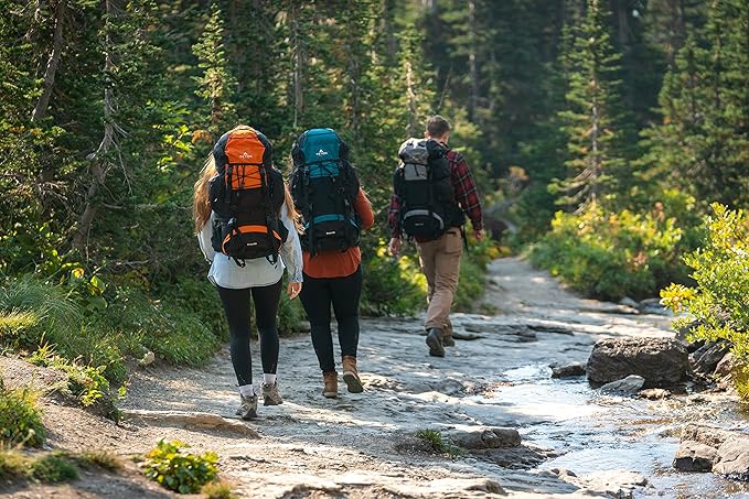 Teton 65L Scout Internal Frame Backpack for Hiking, Camping, Backpacking, Travel, Rain Cover Included, Pacific