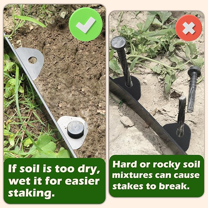 Gardzen Landscape Edging Kit, 60-Foot Long, 3-Inch Tall, No Dig Garden Edging Border for Flower Beds, Tree Rings, Pathways , Includes 60 Spikes