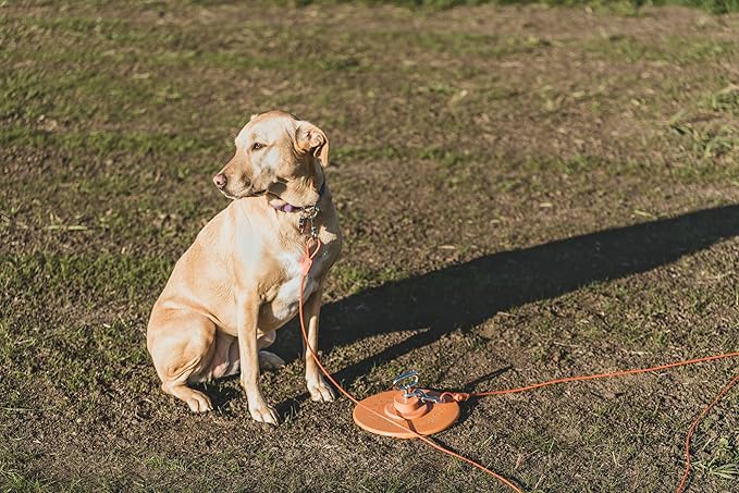 IntelliLeash Intelli-Stayk: Tailored for Soft Soils – Specialized Tie Out Stake for Dogs