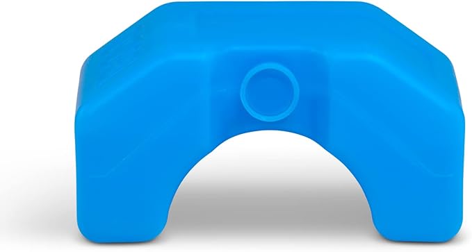 Igloo Maxcold Ice Block