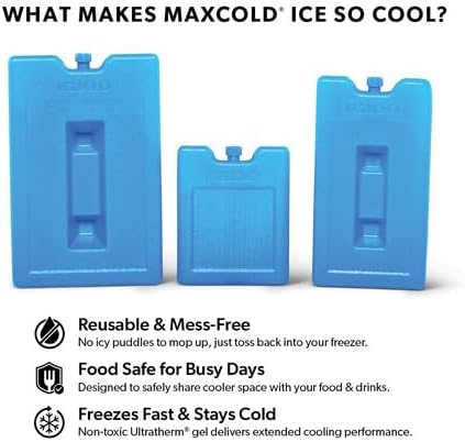 Igloo Maxcold Ice Block