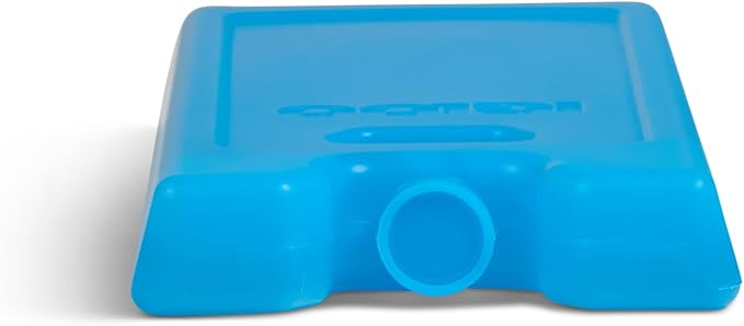 Igloo Maxcold Ice Block