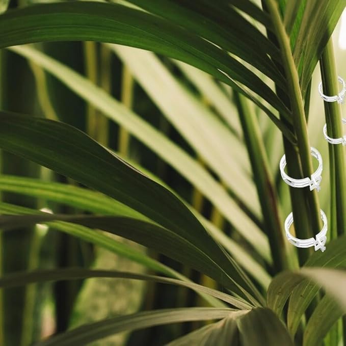 50 PCS Plant Support Clips, Garden Plant Stakes for Indoor Outdoor Plants, Climbing Plant Support Structures Moss Pole Monstera Plant Holder Sticks Support Tall Potted Plants (50 PCS)