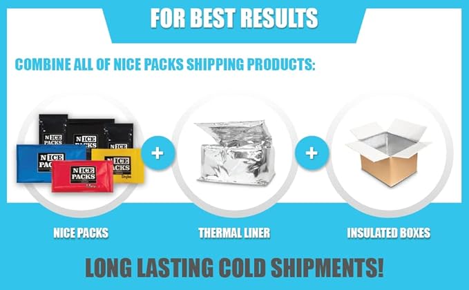 Nice Packs Reusable Dry Ice Packs for Shipping Frozen Food, Coolers, Lunch Boxes - Flexible and Long Lasting (10 Mini Sheets)