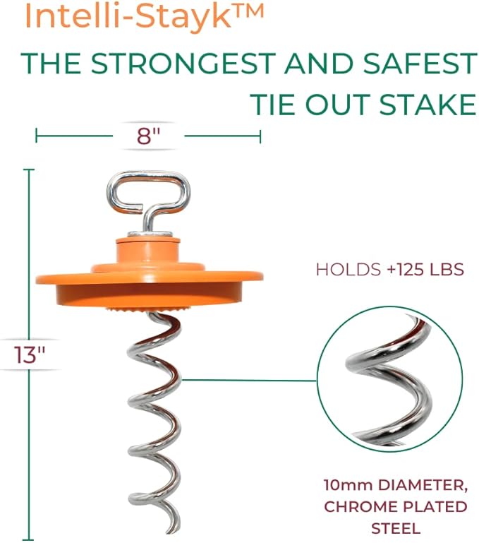 IntelliLeash Intelli-Stayk: Beast Dog Surface-Lock Tie-Out Stake for Large and Strong Dogs