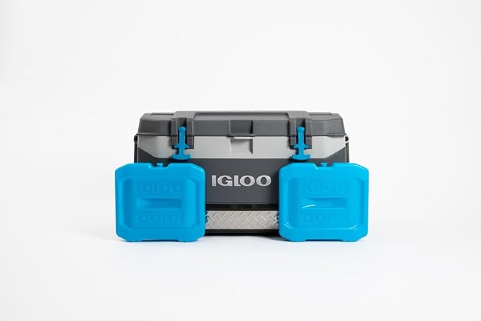 Igloo Maxcold Ice Block