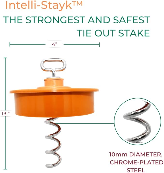 IntelliLeash Intelli-Stayk: Tailored for Soft Soils – Specialized Tie Out Stake for Dogs