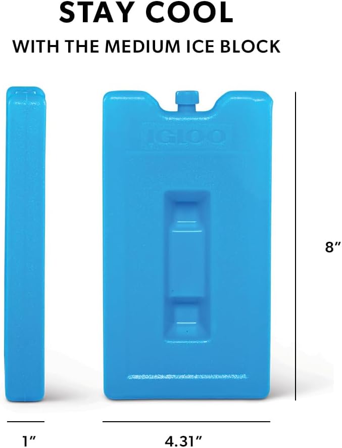 Igloo Maxcold Ice Block