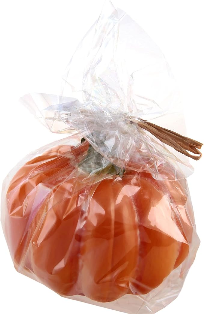 HOIGON 100 Count 15.7 x 23.6 Inch 4 Mil Thickened Large Clear Platic Poly Bags, Food Grade, Sealable and Odorless Clear Flat Open Poly Bags for Storage, Packaging