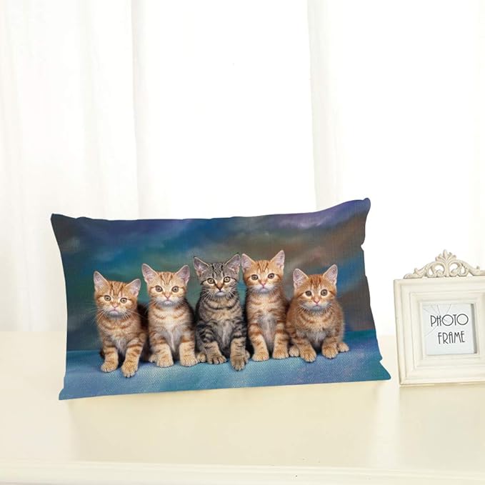 Throw Pillow Cover Kitten Series Cute Cat Decorative Pillow Case Home Decor 20x12 Inches Pillowcase