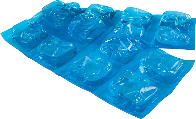 Igloo Maxcold Ice Block