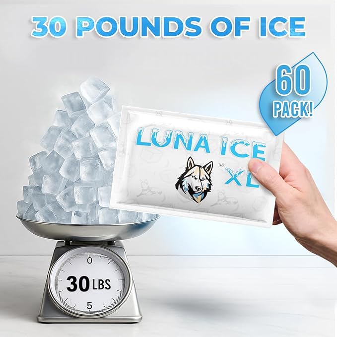 Dry Ice Packs for Shipping XL - Long Lasting ice Packs - 24+ Hour Freeze Power - BPA Free - 60 Pack Bulk 30 lb – Hielo Seco - Reusable Gel Bricks for Food
