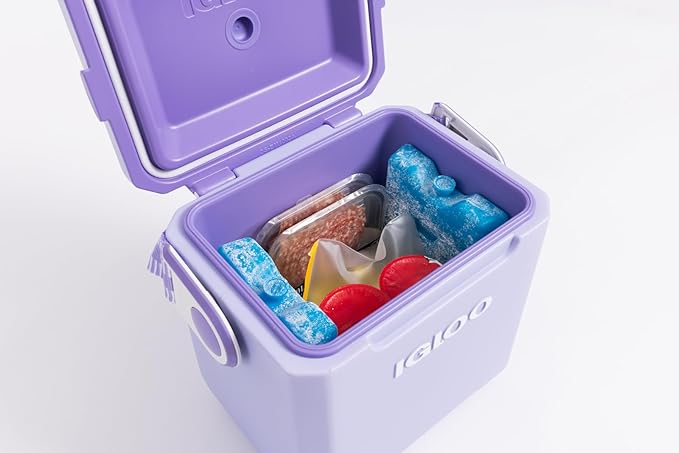 Igloo Maxcold Ice Block