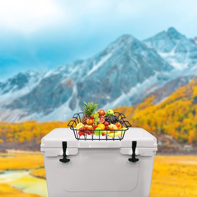 Cooler Basket for RTIC 65,Inside Dry-Goods Basket Compatible with RTIC 65 Coolers,Stainless Steel Wire Cooler Rack