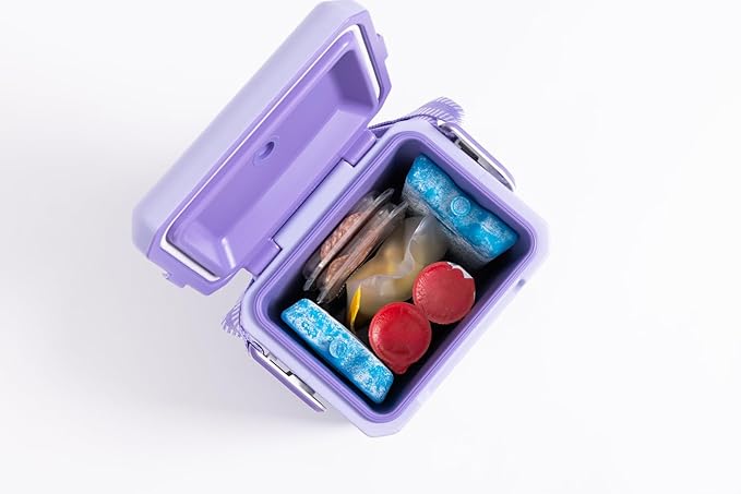 Igloo Maxcold Ice Block