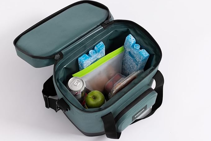 Igloo Maxcold Ice Block