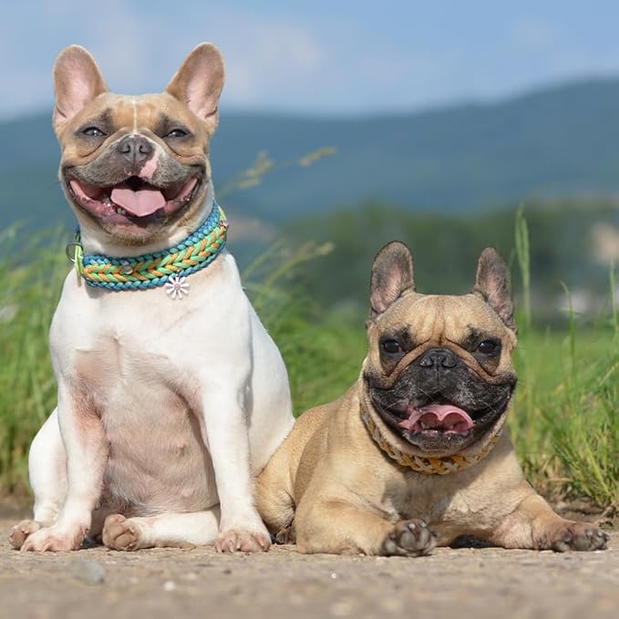 Reflective Paracord 550 lb, 7 Strand Paracord Rope 250ft 4mm, Nylon Parachute Cord for Camping, Black