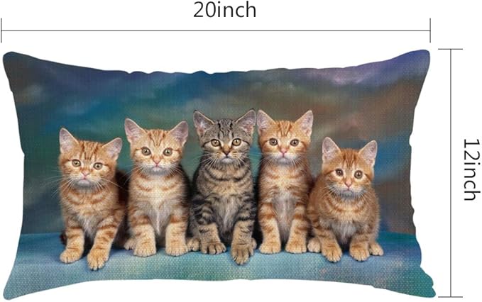Throw Pillow Cover Kitten Series Cute Cat Decorative Pillow Case Home Decor 20x12 Inches Pillowcase