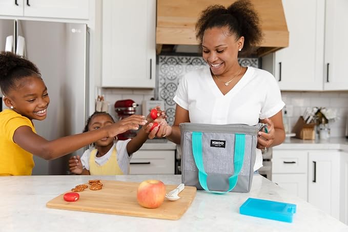 Igloo Maxcold Ice Block