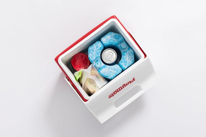 Igloo Maxcold Ice Block