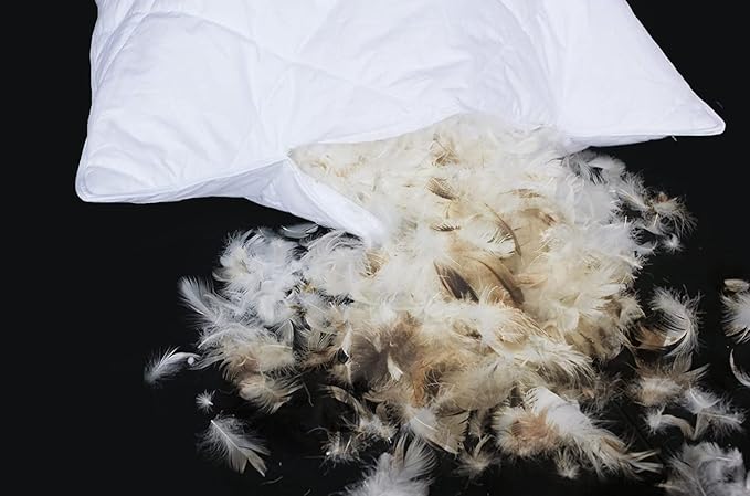 Three Geese Pack of 2 White Goose Feather Polyester Bed Pillows King Size - Soft 600 Thread Count 100% Cotton, Medium Firm,Soft Support Surround Fill Polyester, White Solid