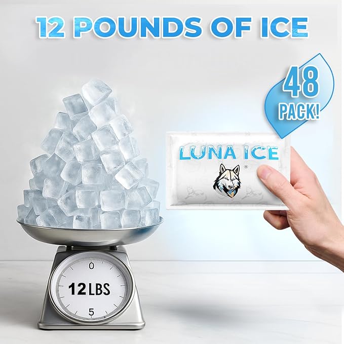 Dry Ice Packs for Shipping - Long Lasting ice Packs - 24+ Hour Freeze Power - BPA Free - 48 Pack Bulk 12 lb – Hielo Seco - Reusable Gel Bricks for Food