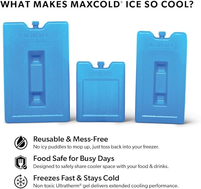 Igloo Maxcold Ice Block