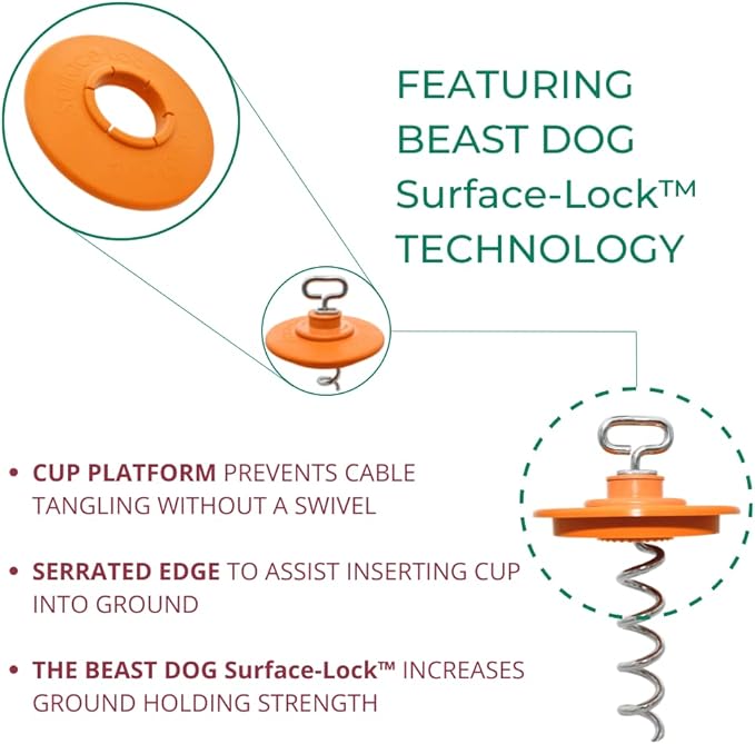 IntelliLeash Intelli-Stayk: Beast Dog Surface-Lock Tie-Out Stake for Large and Strong Dogs