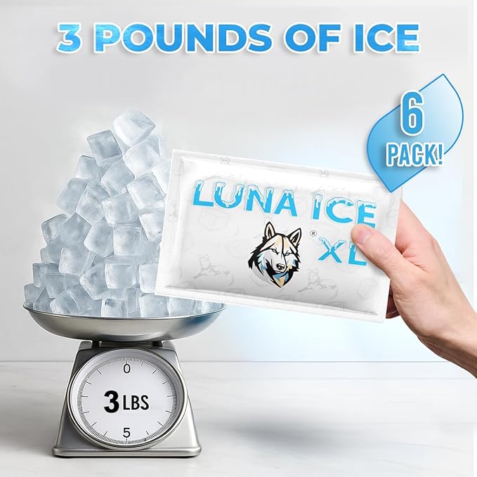 LUNA ICE Dry Ice Packs for Shipping XL - Long lasting ice packs - 24+ Hour Freeze Power - BPA Free - 6 Pack Bulk 3 lb – Hielo Seco - Reusable Gel Bricks for Food