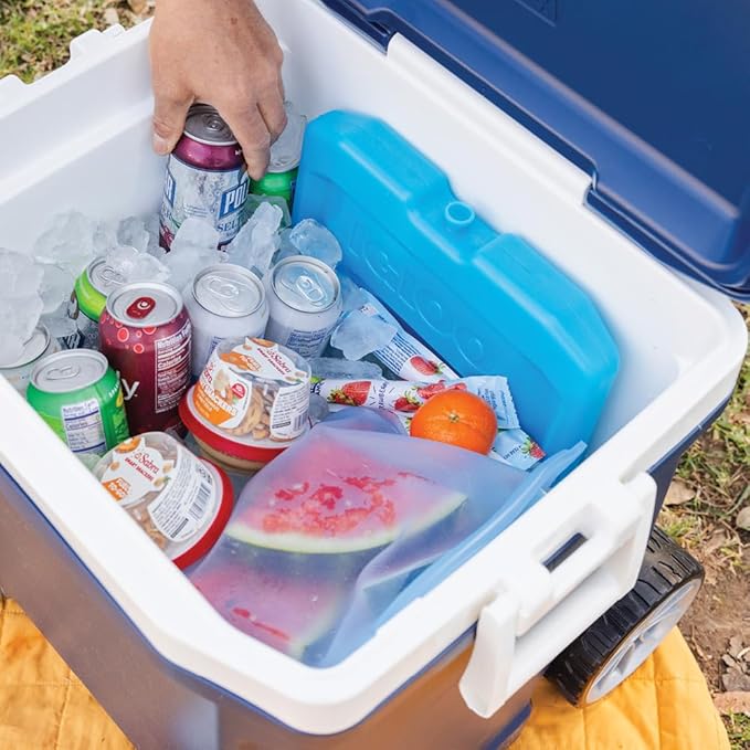 Igloo Maxcold Ice Block