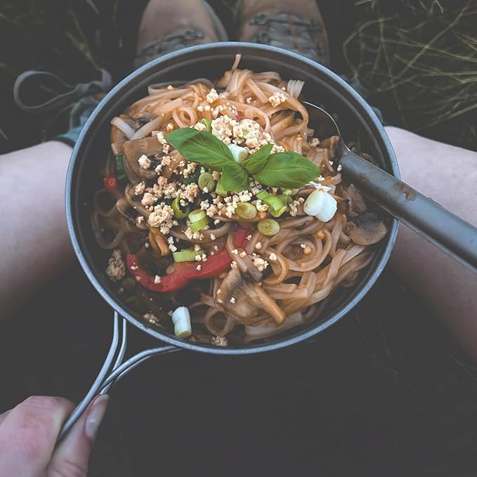 SILVERANT Camping Plate Titanium Pan Dish Plate with Handle & Mesh Bag, Large Reuseable Ultralight Dinner Plate for Camping Outdoors Backpacking (450ML)