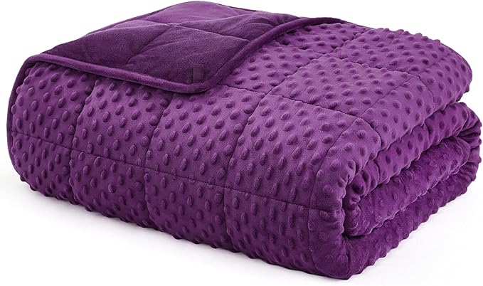 L'AGRATY Weighted Blanket for Adult - 60"x80" 15lbs Minky Dots Heavy Blanket with Glass Beads Soft Breathable for All-Season Summer Fall Winter Thick Comfort for Sleeping