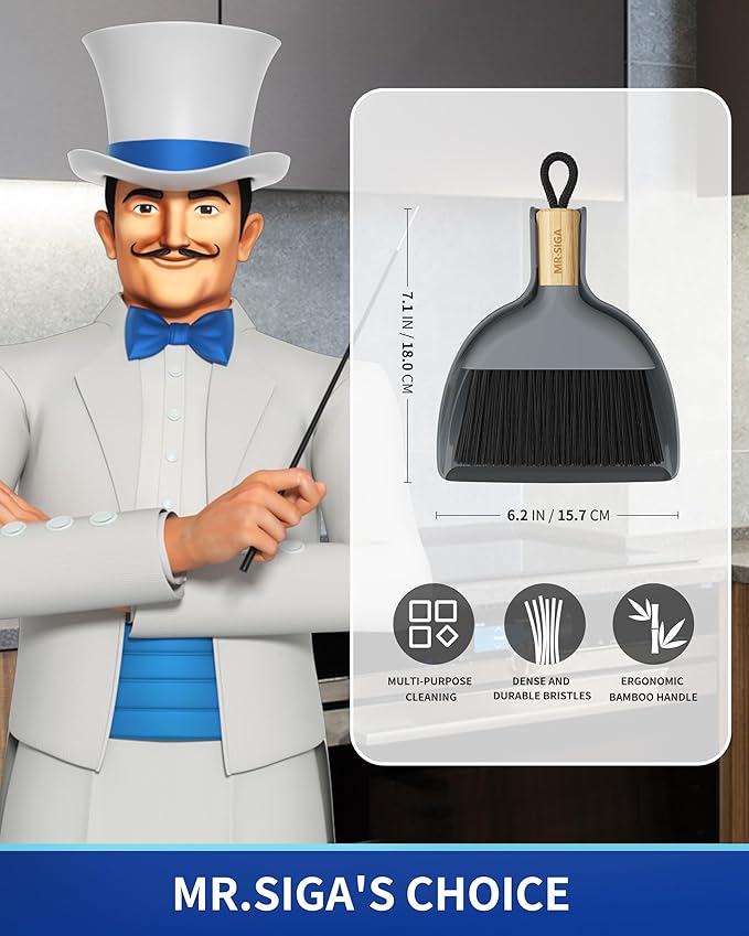 MR.SIGA Mini Dustpan and Brush Set, Portable Cleaning Brush and Dustpan Combo with Bamboo Handle, Gray, 1 Set