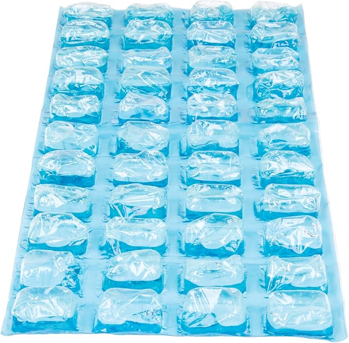 Igloo Maxcold Ice Block