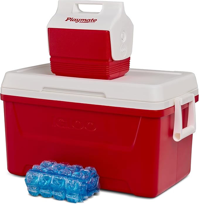 Igloo Maxcold Ice Block