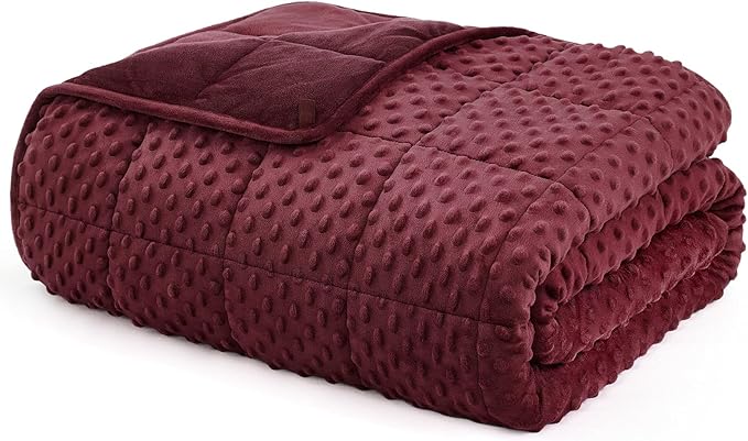 L'AGRATY Weighted Blanket for Adult - 60"x80" 25lbs Minky Dots Heavy Blanket with Glass Beads Soft Breathable for All-Season Summer Fall Winter Thick Comfort for Sleeping
