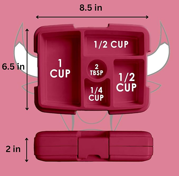 FOCO NBA Unisex-Adult Officially Licensed Team Color Stripe Primary Logo Basketball Leak Proof 5 Compartment Bento Lunch Box - Chicago Bulls