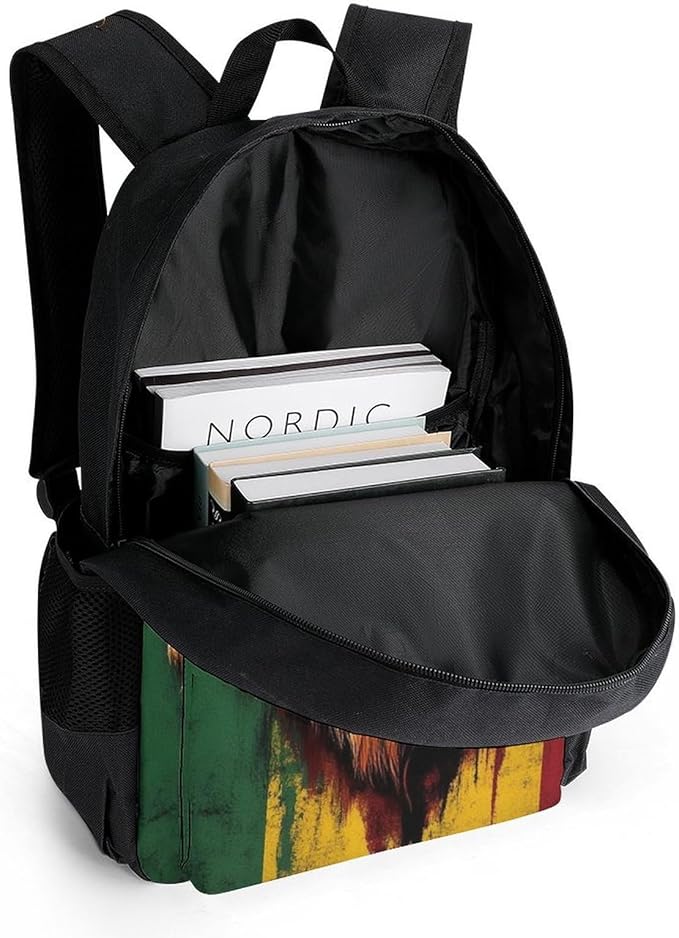 Supdreamc Daypack Backpack Multipurpose Anti-Theft Large Capacity Bookbag, Rasta Flag Lion Splatter Painting Travel Hiking Camping Rucksack With Adjustable Shoulder Straps