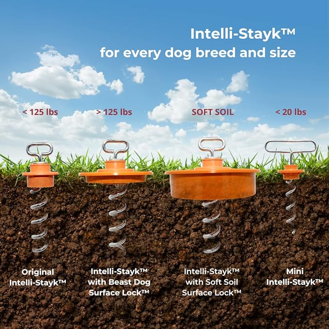 IntelliLeash Mini Intelli-Stayk: Secure Tie-Out Stake for Small Dogs (Up to 20 Pounds) with Patented Surface-Lock Technology