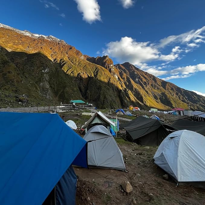 Paracord 550 lb, 7 Strand Paracord Rope 250ft 4mm, Nylon Parachute Cord for Camping, Army Green