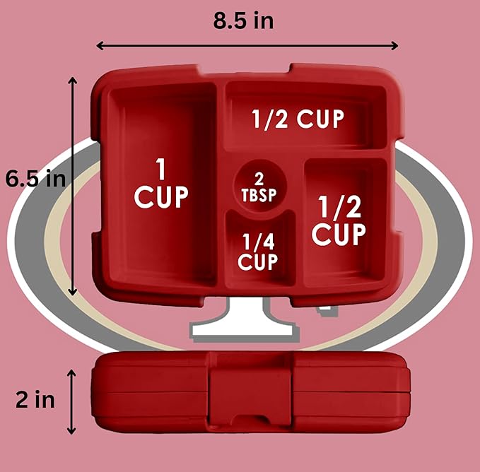 FOCO NFL Unisex-Adult Officially Licensed Team Color Stripe Primary Logo Football Leak Proof 5 Compartment Bento Lunch Box - San Francisco 49ers
