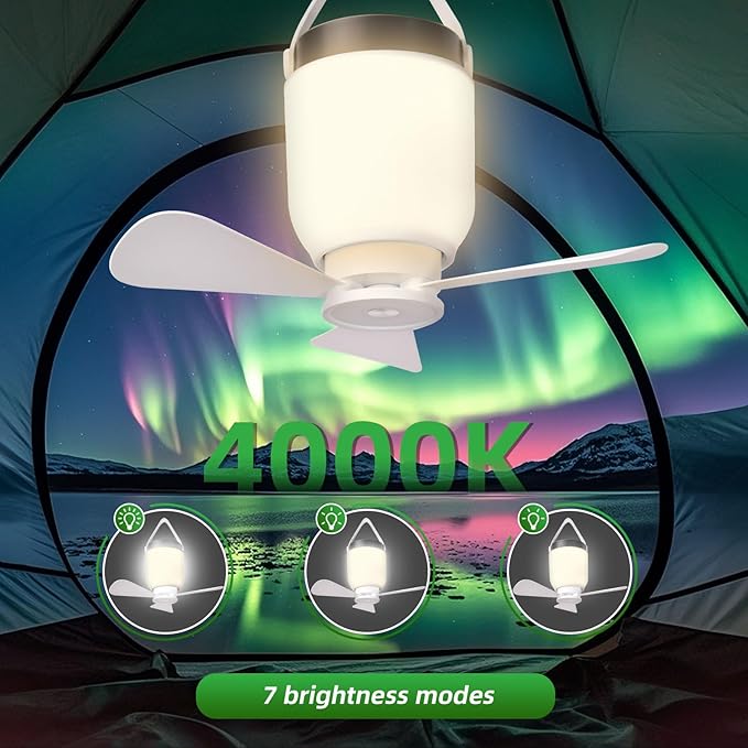 HOYECHI Camping Accessories Fan with Light - Portable Rechargeable Tent Fan with 8000mAh Battery, Remote Control & Hanging Hook - Cool Camping Gear for Tents, Outdoor, RV & Car Essentials